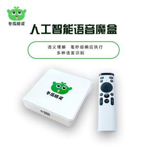 冬瓜精灵 智能网络电视机顶盒子语音控制A-10